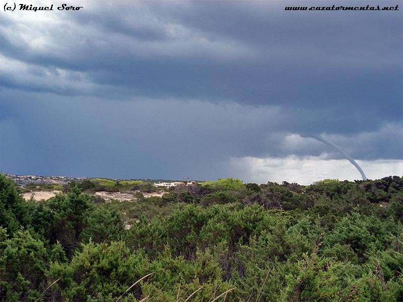 Cap de fibló cazado desde Formentera