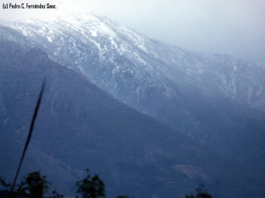 La Sierra de Lújar se viste de blanco y el frío sigue