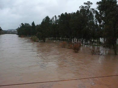 Se desborda el Guadalhorce en Cártama-Estación
