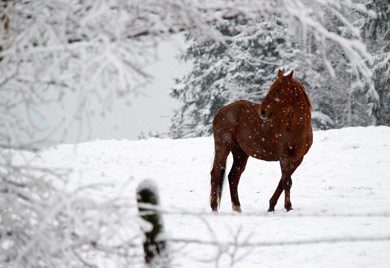 El frío y la nieve se instalan en Europa Occidental