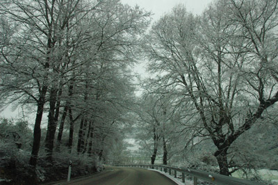 Un recorrido por la nieve en Málaga