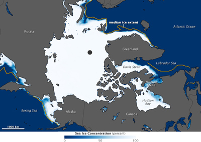 Baja superficie de hielo de la banquisa ártica en enero