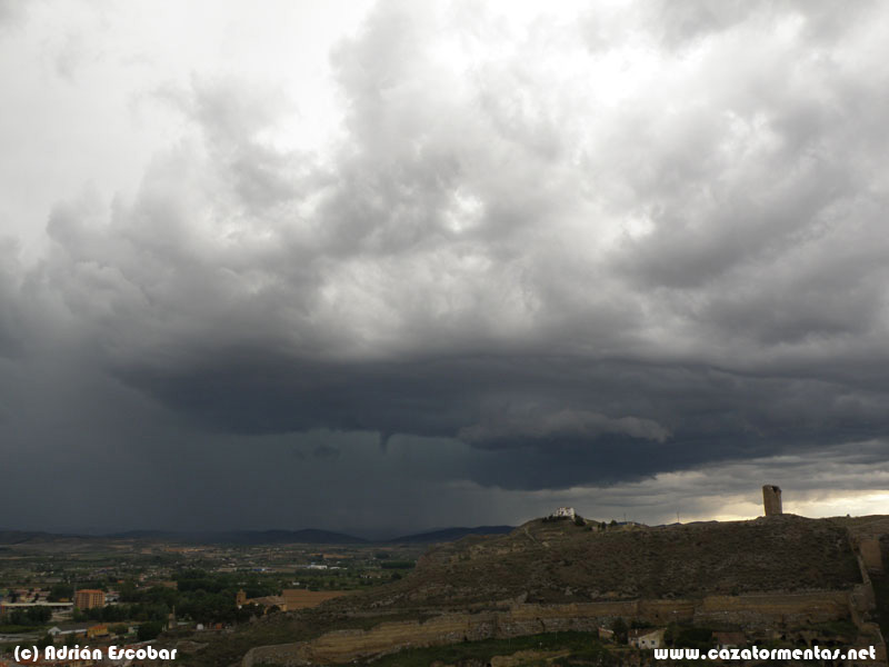 Sábado Santo 2011, de caza por Soria y Zaragoza