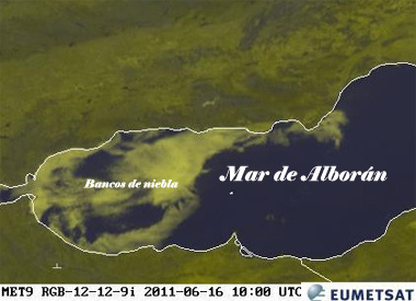 Nieblas refrescantes en la Costa Mediterránea Andaluza