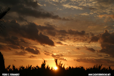 2011 bate récords de temperatura en Francia, Rusia y Austria