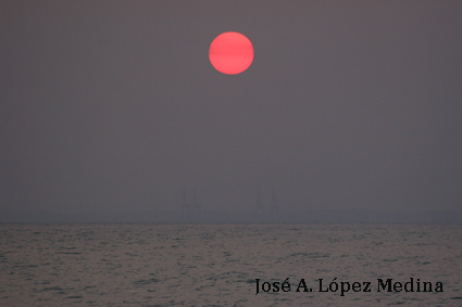 Una disminución de la actividad solar en el s. XXI no sería suficiente para vencer el calentamiento global