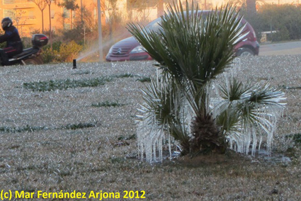 Carámbanos de hielo en la ciudad de Málaga