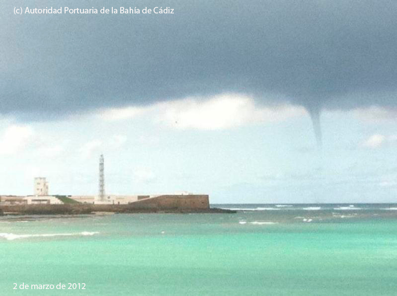 Avistada una troma marina en la Bahía de Cádiz (02-03-12)