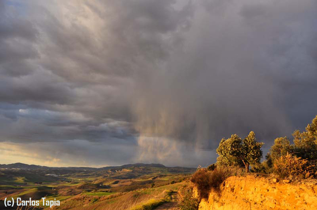 Virgas de precipitación al atardecer