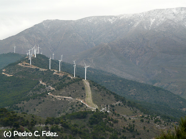 Récord de producción de energía eólica debido al temporal de vientos