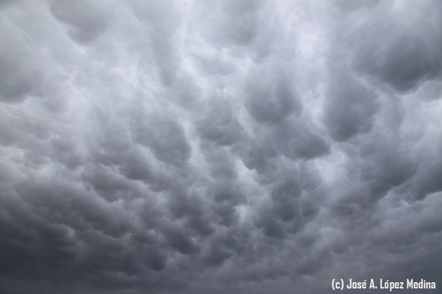 Los mammatus, las nubes mastodónticas