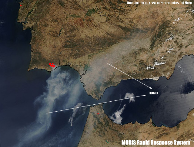 Norte de la India sumida en humo