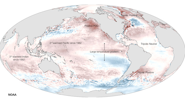 Temperatura de los oceanos alcanza maximo historico en 2014
