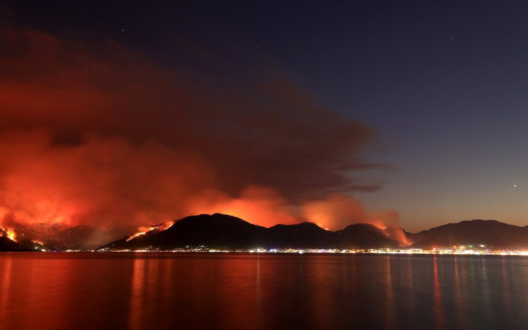 Turquía: ola de calor favorece a los peores incendios en décadas.