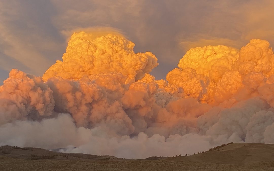 Incendios forestales de récord en Colorado y California