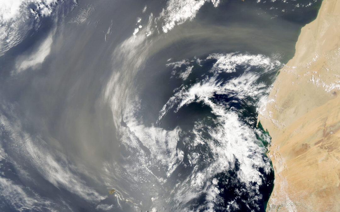 El polvo sahariano se adueña del Atlántico tropical