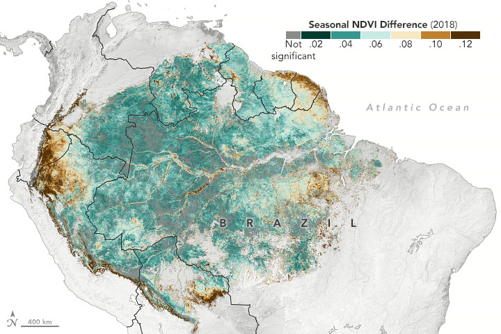 El reverdecer de la selva tropical del Amazonas