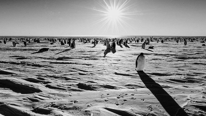 La banquisa antártica marca su peor registro para un mes de mayo