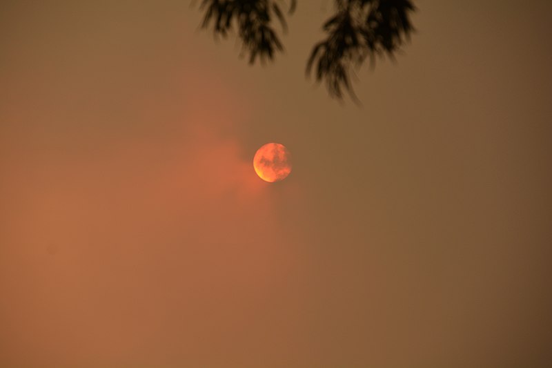 El humo de los incendios afecta al ozono