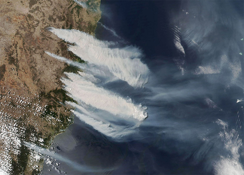 Terribles incendios forestales en Nueva Gales del Sur, Australia