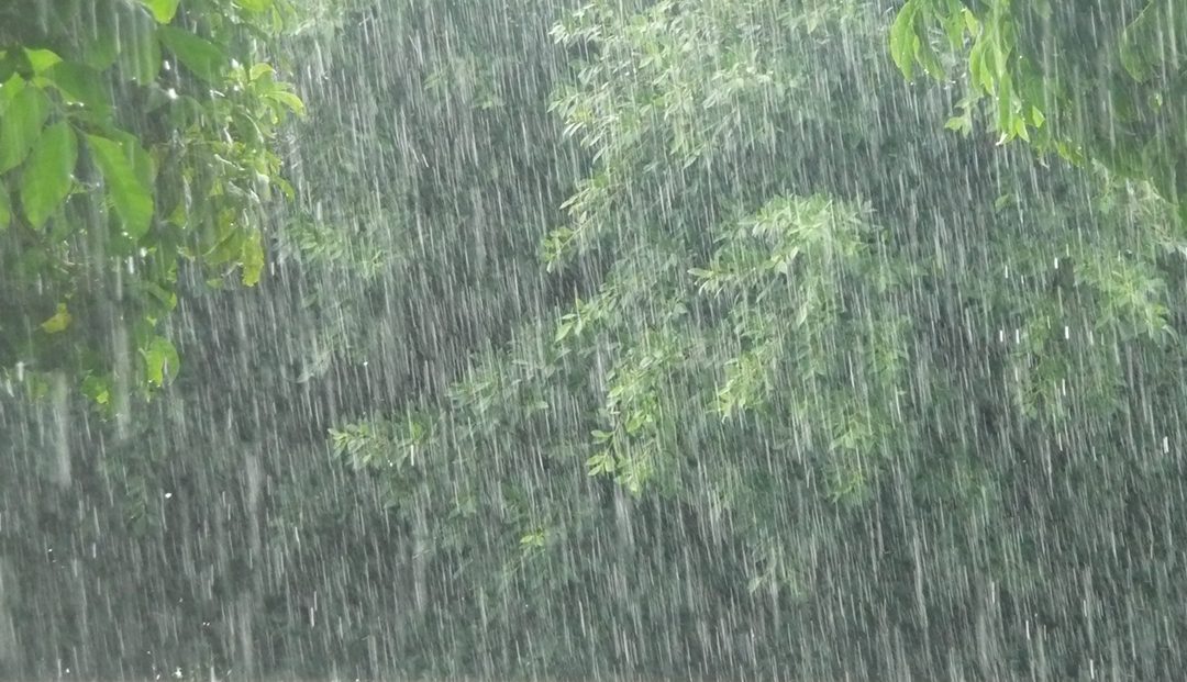 Se retrasa la temporada de lluvias en los trópicos