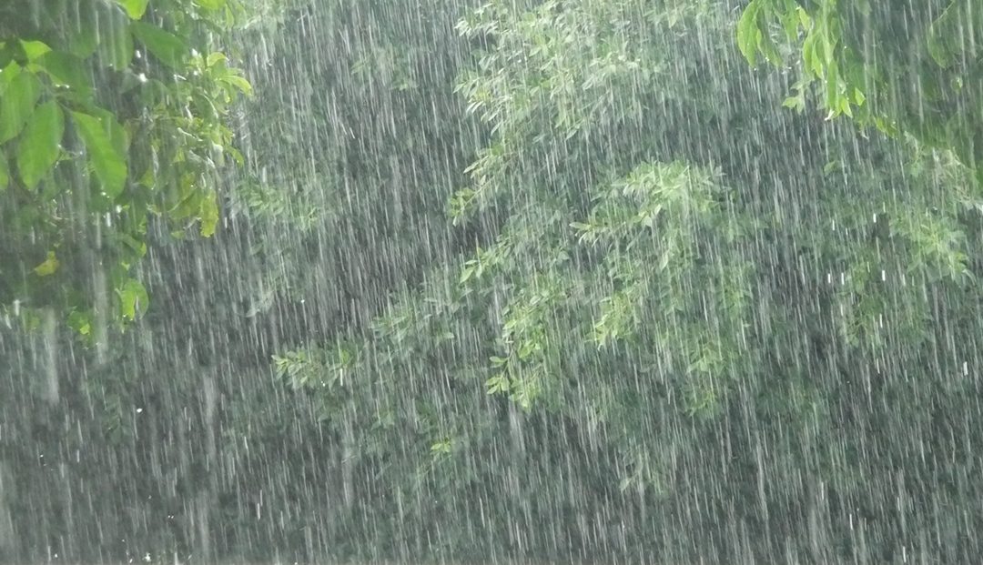 Más lluvias y en situaciones más diversas