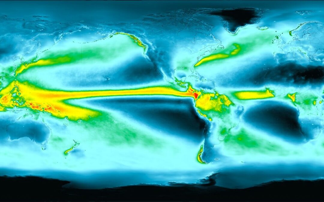 La lluvia y su influencia en la vegetación del planeta