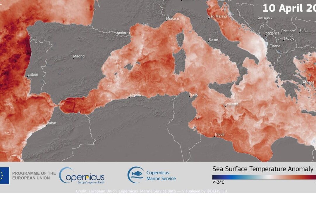 Los mares de España se calientan muy rápido