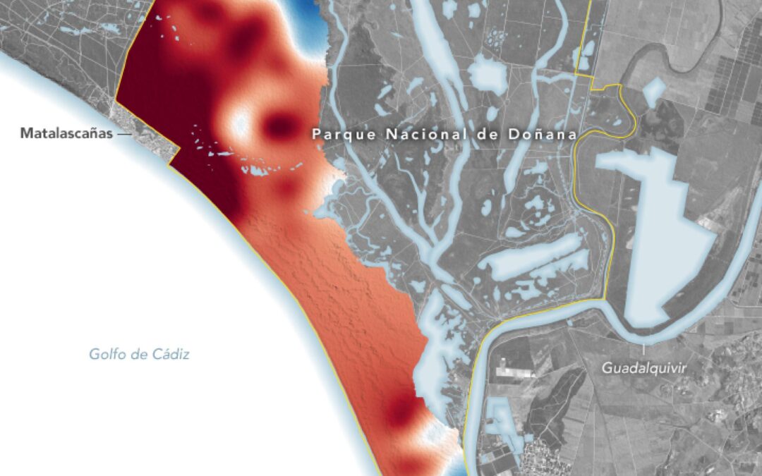 La NASA alerta de que Doñana se seca por la agricultura y el turismo