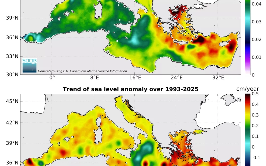 Olas de calor marinas en el Mediterráneo