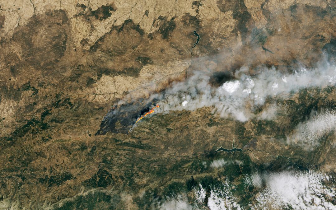 La ola de calor y los incendios forestales abrasan España